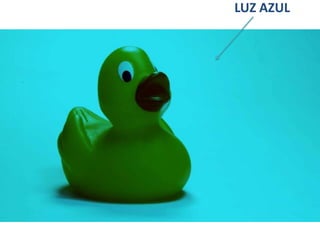 LUZ AZUL
 