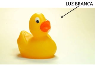 LUZ BRANCA
 