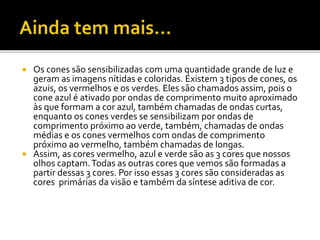  Os cones são sensibilizadas com uma quantidade grande de luz e
geram as imagens nítidas e coloridas. Existem 3 tipos de cones, os
azuis, os vermelhos e os verdes. Eles são chamados assim, pois o
cone azul é ativado por ondas de comprimento muito aproximado
às que formam a cor azul, também chamadas de ondas curtas,
enquanto os cones verdes se sensibilizam por ondas de
comprimento próximo ao verde, também, chamadas de ondas
médias e os cones vermelhos com ondas de comprimento
próximo ao vermelho, também chamadas de longas.
 Assim, as cores vermelho, azul e verde são as 3 cores que nossos
olhos captam.Todas as outras cores que vemos são formadas a
partir dessas 3 cores. Por isso essas 3 cores são consideradas as
cores primárias da visão e também da síntese aditiva de cor.
 
