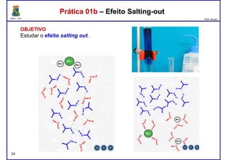 DQOI - UFC Prof. Nunes
Prática 01b – Efeito Salting-outPrática 01b – Efeito Salting-out
OBJETIVO
Estudar o efeito salting out.
24
 