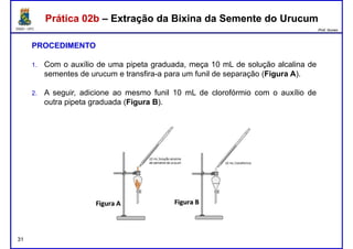 DQOI - UFC Prof. Nunes
Prática 02b – Extração da Bixina da Semente do UrucumPrática 02b – Extração da Bixina da Semente do Urucum
PROCEDIMENTO
1. Com o auxílio de uma pipeta graduada, meça 10 mL de solução alcalina de
sementes de urucum e transfira-a para um funil de separação (Figura A).
2. A seguir, adicione ao mesmo funil 10 mL de clorofórmio com o auxílio de
outra pipeta graduada (Figura B).
31
 