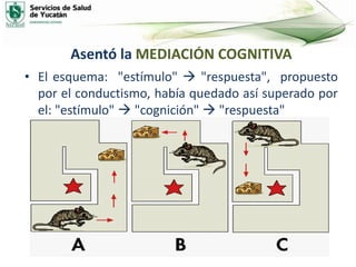 Asentó la MEDIACIÓN COGNITIVA
• El esquema: "estímulo"  "respuesta", propuesto
por el conductismo, había quedado así superado por
el: "estímulo"  "cognición"  "respuesta"
 