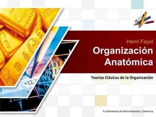 LOGO


                        Henri Fayol

Organización
  Anatómica
Teorías Clásicas de la Organización




      Fundamentos de Administración y Gerencia
 