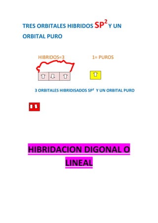 TRES ORBITALES HIBRIDOS SP2
Y UN
ORBITAL PURO
HIBRIDOS=3 1= PUROS
H
3 ORBITALES HIBRIDISADOS SP² Y UN ORBITAL PURO
HIBRIDACION DIGONAL O
LINEAL
 