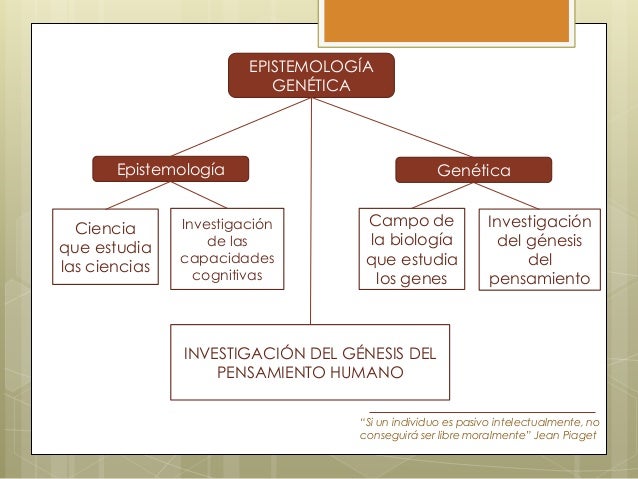 Teoria de la epistemologia genetica de jean piaget