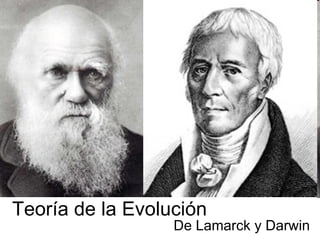 Teoría de la Evolución De Lamarck y Darwin 
