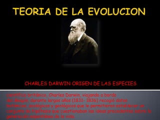 CHARLES DARWIN ORIGEN DE LAS ESPECIES

científico británico, Charles Darwin, viajando a bordo
del Beagle, durante largos años (1831- 1836) recogió datos
botánicos, zoológicos y geológicos que le permitieron establecer un
conjunto de hipótesis que cuestionaban las ideas precedentes sobre la
generación espontánea de la vida.
 