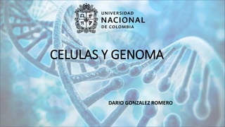 CELULAS Y GENOMA
DARIO GONZALEZ ROMERO
 