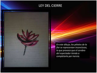 LEY DEL CIERRE
En este dibujo, los pétalos de la
flor se representan inconclusos,
lo que provoca que el cerebro
del espectador tienda a
completarlo por inercia.
 