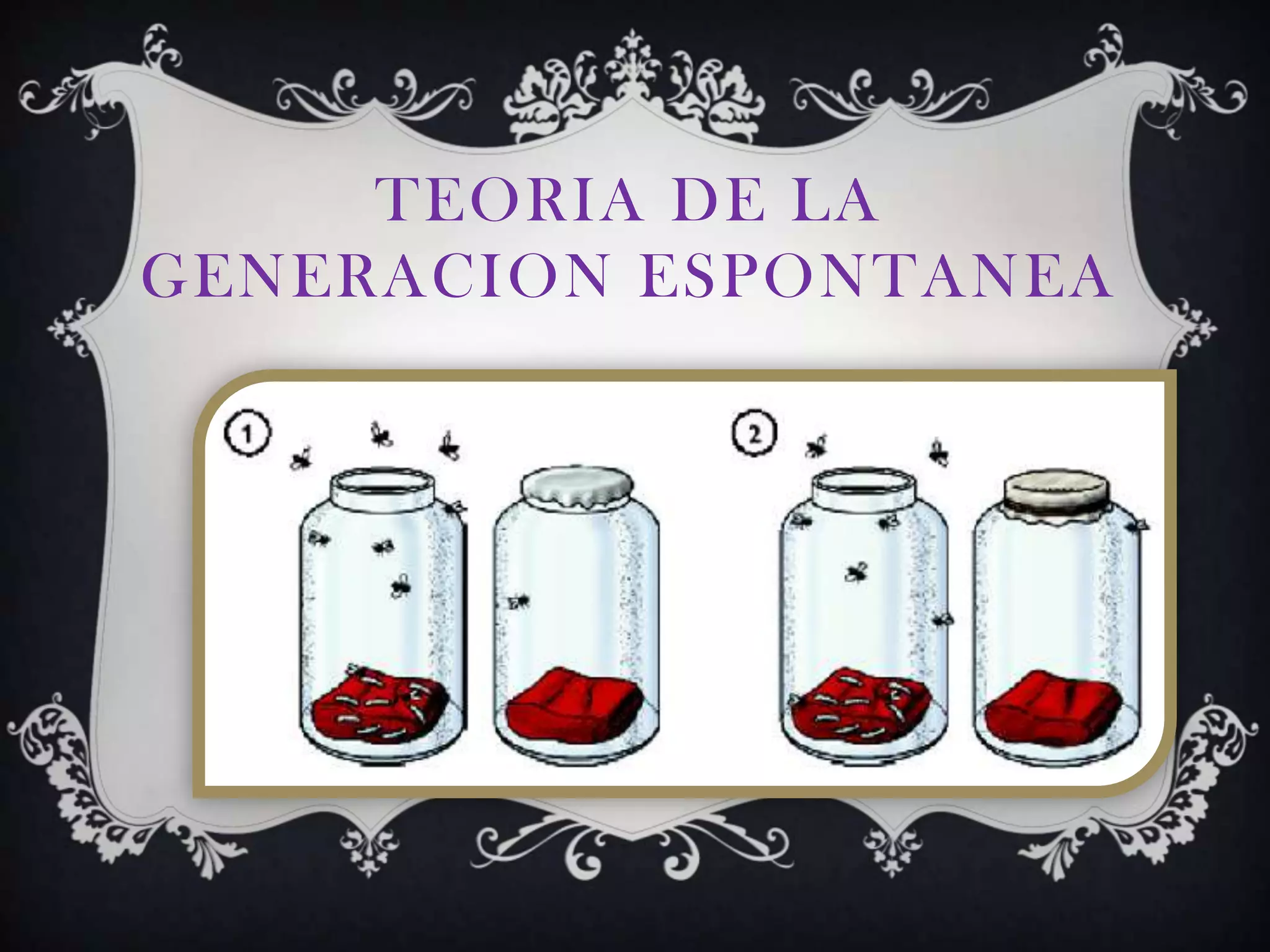 Teoria de la generacion espontanea PPT