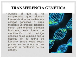 Teoria de Lamarck | PPTX