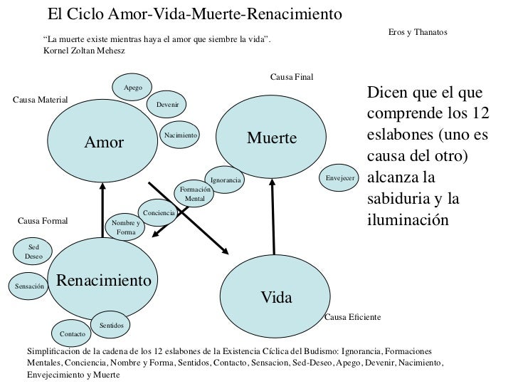 Teoria de la muerte