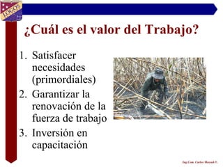 ¿Cuál es el valor del Trabajo?
1. Satisfacer
   necesidades
   (primordiales)
2. Garantizar la
   renovación de la
   fuerza de trabajo
3. Inversión en
   capacitación
                            Ing.Com. Carlos Massuh V.
 