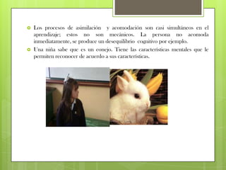 Teoría del aprendizaje cognocitivista