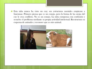Jean piagetPara que se produzca el aprendizaje según Piaget, es necesario que las estructuras mentales de la persona que aprenda tenga un determinado tipo de organización para que pueda soportar y acoger los estímulos externos que llegan a la mente a través de los sentidos.El aprendizaje se realiza mediante dos movimientos simultáneos.