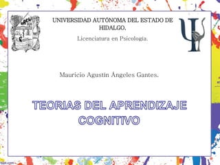 UNIVERSIDAD AUTÓNOMA DEL ESTADO DE
HIDALGO.
Licenciatura en Psicología.
Mauricio Agustín Ángeles Gantes.
 