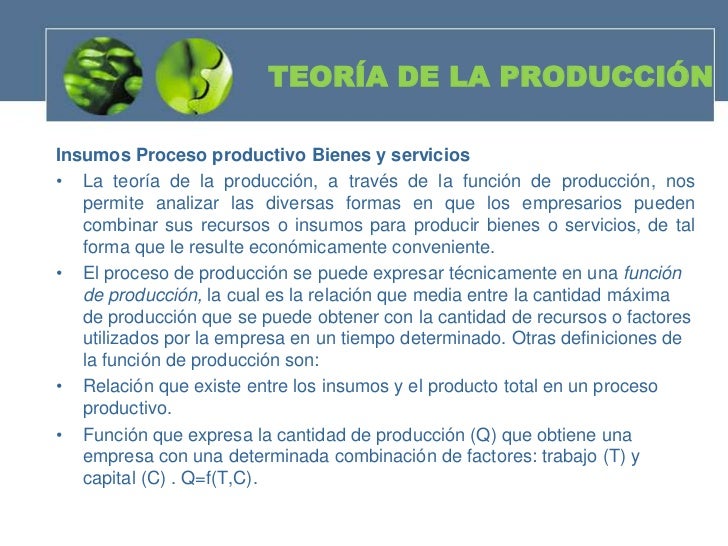 Teoria de la produccion