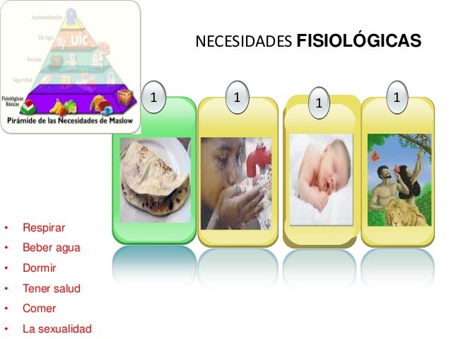 Las 5 Necesidades Del Ser Humano