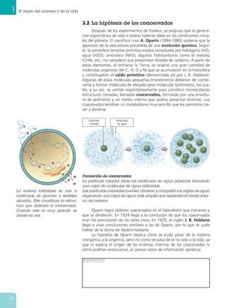 1    El origen del universo y de la vida


                                            3.2 La hipótesis de los coacervados
                                                   Después de los experimentos de Pasteur, se propuso que la genera-
                                            ción espontánea de vida sí podría haberse dado en las condiciones inicia-
                                            les del planeta. El científico ruso A. Oparin (1894-1980) sostenía que la
                                            aparición de la vida estuvo precedida de una evolución química. Según
                                            él, la atmósfera terrestre primitiva estaba constituida por hidrógeno (H2),
                                            agua (H2O), amoníaco (NH3), algunos hidrocarburos como el metano
                                            (CH4), etc.; no consideró que presentase dióxido de carbono. A partir de
                                            estos elementos, al enfriarse la Tierra, se originó una gran cantidad de
                                            moléculas orgánicas (de C, H, O y N) que se acumularon en la hidrosfera
                                            y constituyeron el caldo primitivo (denominado así por J. B. Haldane).
                                            Algunas de estas moléculas pequeñas (monómeros) debieron de combi-
                                            narse y formar moléculas de elevado peso molecular (polímeros), las cua-
                                            les, a su vez, se unirían espontáneamente para constituir microscópicas
                                            estructuras cerradas, llamadas coacervados, formadas por una envoltu-
                                            ra de polímeros y un medio interno que podría presentar enzimas. Los
                                            coacervados tendrían un metabolismo muy sencillo que les permitiría cre-
                                            cer y dividirse.

                                               Partícula       moléculas
                                               coloidal         de agua




                                            Formación de coacervados
                                            La partícula coloidal atrae las moléculas de agua próximas formando
                                            una capa de moléculas de agua adheridas.
     La enzima fosforilasa se une a         Las partículas coloidales pueden atraerse y compartir sus capas de agua
     moléculas de glucosa y sintetiza       originando una capa de agua más amplia que separaría el medio inter-
     almidón. Este constituye la estruc-    no del exterior.
     tura que delimita el coacervado.
     Cuando este es muy grande, se                Oparin logró obtener coacervados en el laboratorio que crecieran y
     divide en dos.                         que se dividieran. En 1924 llegó a la conclusión de que los coacervados
                                            eran los precursores de los seres vivos. En 1929, el inglés J. B. Haldane
                                            llegó a unas conclusiones similares a las de Oparin, por lo que se suele
                                            hablar de la teoría de Oparin-Haldane.
                                                  La hipótesis de Oparin explica cómo se pudo pasar de la materia
                                            inorgánica a la orgánica, pero no cómo se pasa de la no vida a la vida, ya
                                            que ni explica el origen de las enzimas internas de los coacervados ni
                                            cómo podrían evolucionar, al carecer estos de información genética.

                                            E S PACI O




22
 