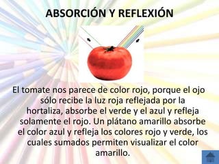 ABSORCIÓN Y REFLEXIÓN




El tomate nos parece de color rojo, porque el ojo
       sólo recibe la luz roja reflejada por la
    hortaliza, absorbe el verde y el azul y refleja
  solamente el rojo. Un plátano amarillo absorbe
 el color azul y refleja los colores rojo y verde, los
    cuales sumados permiten visualizar el color
                       amarillo.
 
