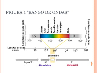 FIGURA 1 “RANGO DE ONDAS” 