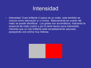 Intensidad Intensidad: Cuan brillante ó opaco es un matiz, esta también se conoce como saturación y/ o croma.  Básicamente es cuanto del matiz se puede identificar.  Los grises son acromáticos, indicando la ausencia de matiz (color) y por lo tanto tienen poca intensidad; mientras que un rojo brillante está completamente saturado, poseyendo una croma muy intensa. 
