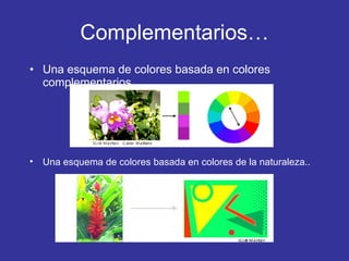 Complementarios… Una esquema de colores basada en colores complementarios. Una esquema de colores basada en colores de la naturaleza.. 