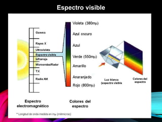 Espectro visible
 