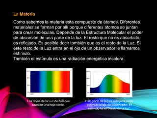 La Materia
Como sabemos la materia esta compuesto de átomos. Diferentes
materiales se forman por allí porque diferentes átomos se juntan
para crear moléculas. Depende de la Estructura Molecular el poder
de absorción de una parte de la luz. El resto que no es absorbido
es reflejado. Es posible decir también que es el resto de la Luz. Si
este resto de la Luz entra en el ojo de un observador le llamamos
estímulo.
También el estímulo es una radiación energética incolora.
Los rayos de la Luz del Sol que
caen en una hoja verde.
Esta parte de la Luz reflejada como
estímulo al ojo del observador. El
estímulo es el "Resto de la luz".
 