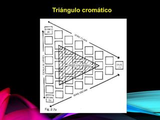 Triángulo cromático
 