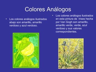 Colores Análogos
•
•

Los colores análogos ilustrados
abajo son amarillo, amarillo
verdoso y azul verdoso.

Los colores análogos ilustrados
en esta pintura de Irises hecha
por Van Gogh son amarillo,
amarillo verde, verde, azul
verdoso y sus valores
correspondientes.

 