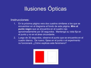 Ilusiones Ópticas
Instrucciones:
1.

2.

En la próxima página vera dos cuadros similares a los que se
encuentran en el diagrama al fondo de esta página. Mire al
punto negro que se encuentra en el cuadro rojo
aproximadamente por 30 segundos. Mantenga su vista fija en
el punto y no en el área circundante.
Luego de 30 segundos, observe el punto que se encuentra en el
cuadro blanco. De nuevo, fíjese en el punto o el experimento
no funcionará. ¿Cómo explicas este fenómeno?

 