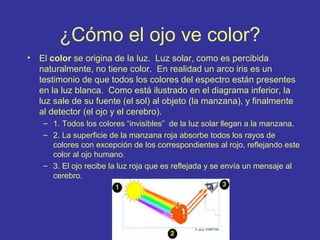 ¿Cómo el ojo ve color?
•

El color se origina de la luz. Luz solar, como es percibida
naturalmente, no tiene color. En realidad un arco iris es un
testimonio de que todos los colores del espectro están presentes
en la luz blanca. Como está ilustrado en el diagrama inferior, la
luz sale de su fuente (el sol) al objeto (la manzana), y finalmente
al detector (el ojo y el cerebro).
– 1. Todos los colores “invisibles” de la luz solar llegan a la manzana.
– 2. La superficie de la manzana roja absorbe todos los rayos de
colores con excepción de los correspondientes al rojo, reflejando este
color al ojo humano.
– 3. El ojo recibe la luz roja que es reflejada y se envía un mensaje al
cerebro.

 
