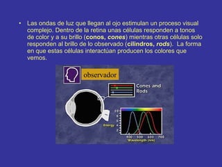 •

Las ondas de luz que llegan al ojo estimulan un proceso visual
complejo. Dentro de la retina unas células responden a tonos
de color y a su brillo (conos, cones) mientras otras células solo
responden al brillo de lo observado (cilindros, rods). La forma
en que estas células interactúan producen los colores que
vemos.

observador

 