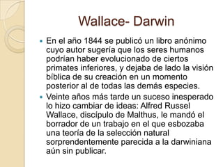 Wallace- DarwinEn el año 1844 se publicó un libro anónimo cuyo autor sugería que los seres humanos podrían haber evolucionado de ciertos primates inferiores, y dejaba de lado la visión bíblica de su creación en un momento posterior al de todas las demás especies.Veinte años más tarde un suceso inesperado lo hizo cambiar de ideas: Alfred Russel Wallace, discípulo de Malthus, le mandó el borrador de un trabajo en el que esbozaba una teoría de la selección natural sorprendentemente parecida a la darwiniana aún sin publicar.
