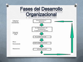 Teoria del desarrollo de la administracion | PPTX