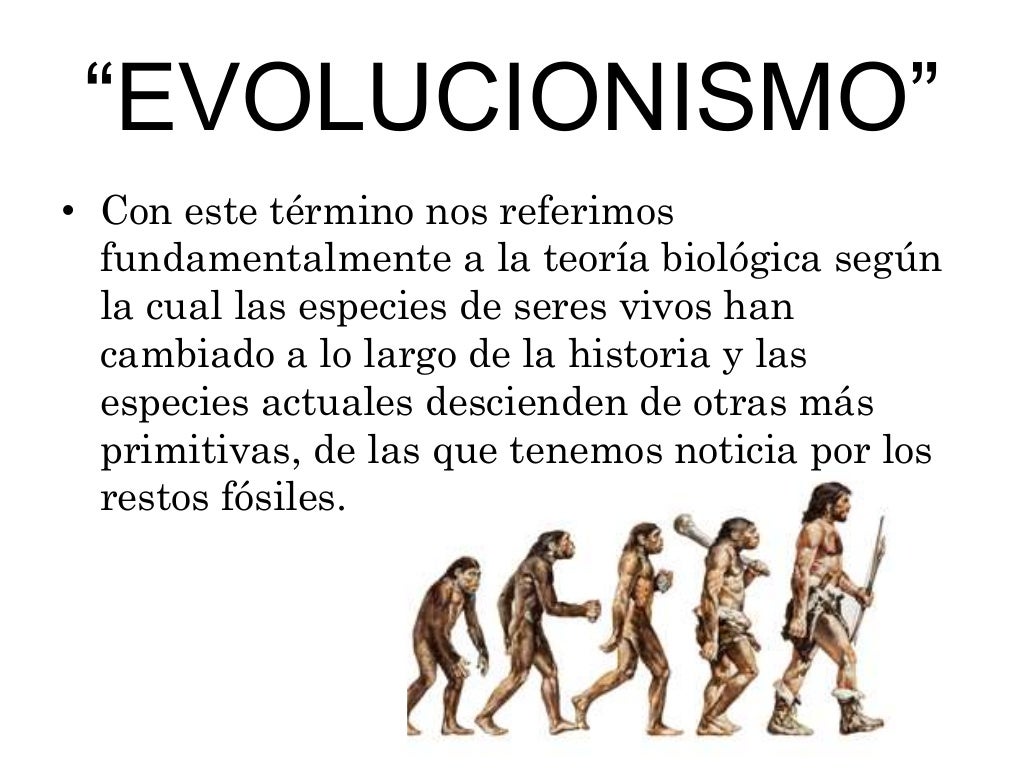 Teorias Evolucionistas E Suas Principais Caracter Sticas Mind Maps The Best Porn Website Teorias Evolucionistas E Suas Principais Caracter Sticas Mind Maps The Best Porn Website