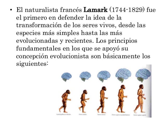 Teoria del evolucionismo