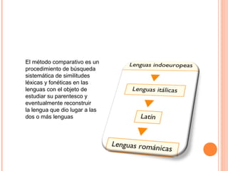 El método comparativo es un 
procedimiento de búsqueda 
sistemática de similitudes 
léxicas y fonéticas en las 
lenguas con el objeto de 
estudiar su parentesco y 
eventualmente reconstruir 
la lengua que dio lugar a las 
dos o más lenguas 
 