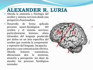 ALEXANDER R. LURIA
 Aborda la anatomía y fisiología del
cerebro y sistema nervioso desde una
perspectiva funcionalista.
...