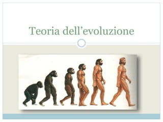 Teoria dell’evoluzione
 