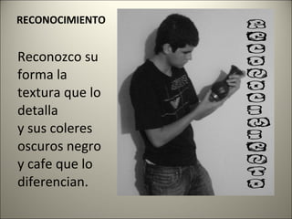 RECONOCIMIENTO Reconozco su forma la textura que lo detalla y sus coleres oscuros negro y cafe que lo diferencian. 