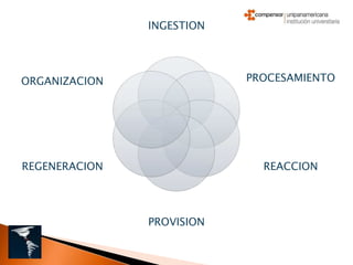 INGESTION




ORGANIZACION               PROCESAMIENTO




REGENERACION                 REACCION




               PROVISION
 
