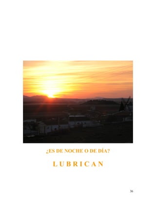 36
¿ES DE NOCHE O DE DÍA?
L U B R I C A N
 