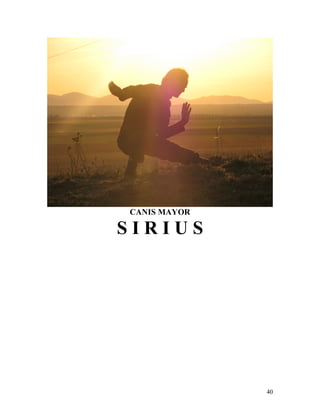 40
CANIS MAYOR
S I R I U S
 