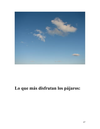 67
Lo que más disfrutan los pájaros:
 