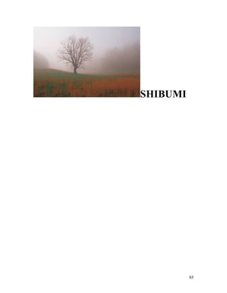 85
SHIBUMI
 