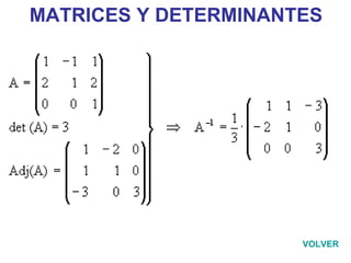 MATRICES Y DETERMINANTES VOLVER 
