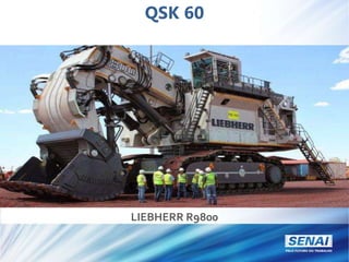 QSK 60
LIEBHERR R9800
 