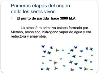 Primeras etapas del origen
de la los seres vivos.
1. El punto de partida hace 3800 M.A
La atmosfera primitiva estaba formado por
Metano, amoniaco, hidrogeno vapor de agua y era
reductora y anaerobia.
 